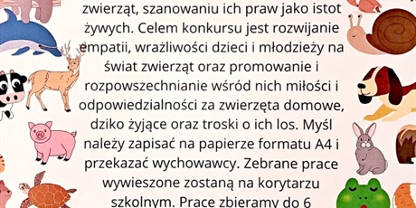 Akcja „Zbiórka dla Kocurka”