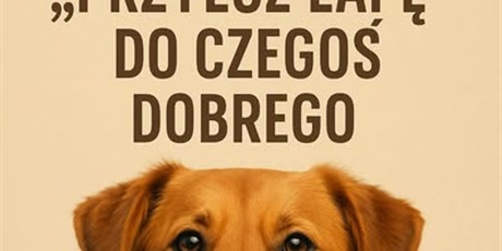 Dziękujemy!