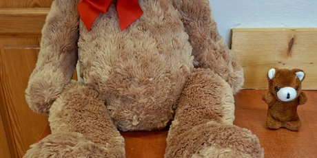 Powiększ grafikę: dzien-pluszowego-misia-660982.jpg