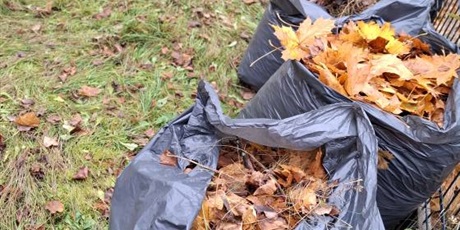 Kim chciałbyś być, kiedy dorośniesz?