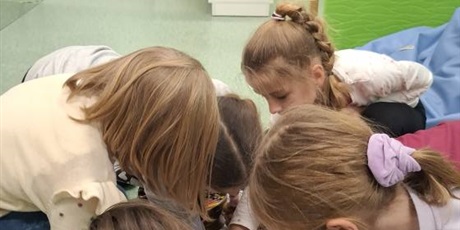 Powiększ grafikę: kolejne-kolorowe-i-pelne-emocji-zajecia-za-nami-665221.jpg