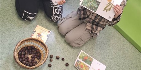 Powiększ grafikę: miedzynarodowy-miesiac-bibliotek-szkolnych-650746.jpg