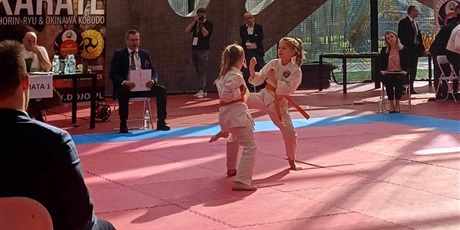 Powiększ grafikę: mistrzostwa-polski-shorin-ryu-karate-kobudo-527861.jpg