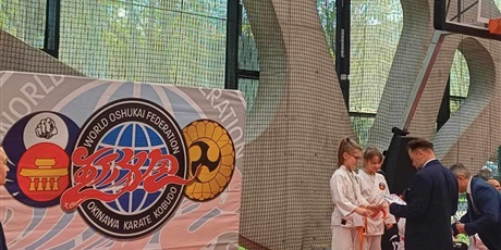 Powiększ grafikę: mistrzostwa-polski-shorin-ryu-karate-kobudo-527864.jpg