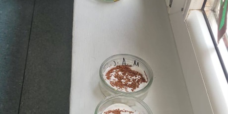 Powiększ grafikę: ostatnie-dwa-tygodnie-marca-w-naszej-swietlicy-byly-pelne-kreatywnosci-i-radosci-687156.jpg