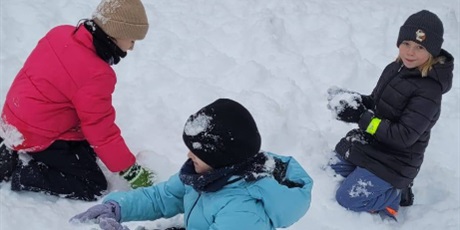 Powiększ grafikę: styczen-w-naszej-swietlicy-uplynal-bardzo-aktywnie-i-radosnie-671416.jpg