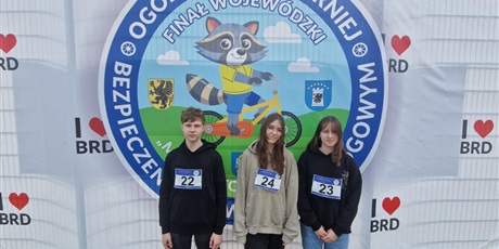 Powiększ grafikę: sukces-naszych-uczniow-w-finale-wojewodzkim-brd-618837.jpg