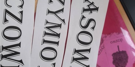 Powiększ grafikę: tydzien-gramatyki-595114.jpg