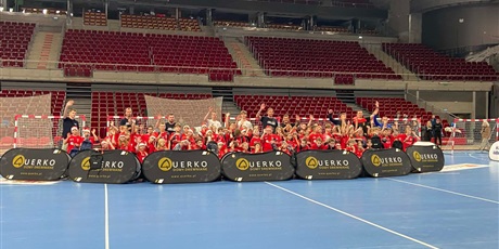 Powiększ grafikę: uczniowie-klasy-3b-wzieli-dzis-udzial-w-mikolajkowym-turnieju-pilki-recznej-1x1-w-ergo-arenie-665415.jpg