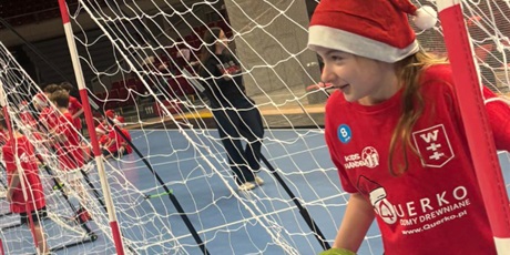 Powiększ grafikę: uczniowie-klasy-3b-wzieli-dzis-udzial-w-mikolajkowym-turnieju-pilki-recznej-1x1-w-ergo-arenie-665428.jpg