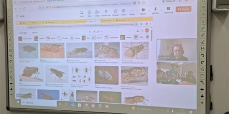 Powiększ grafikę: w-poniedzialek-odbyly-sie-warsztaty-z-jezyka-angielskiego-dla-klasy-5c-650697.jpg