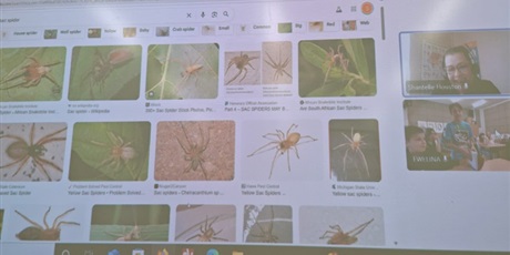 Powiększ grafikę: w-poniedzialek-odbyly-sie-warsztaty-z-jezyka-angielskiego-dla-klasy-5c-650707.jpg