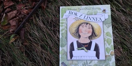 Powiększ grafikę: w-zwiazku-z-obchodzonym-w-piatek-dniem-tumbo-657861.jpg