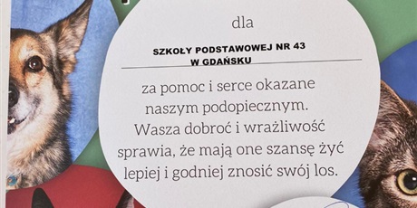 Powiększ grafikę: wolontariusze-w-akcji-388262.jpg