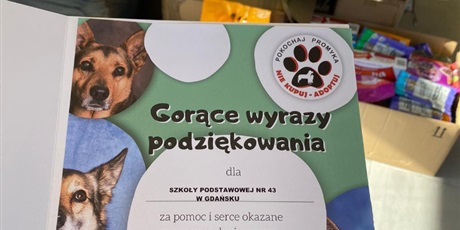 Powiększ grafikę: wolontariusze-w-akcji-388266.jpg