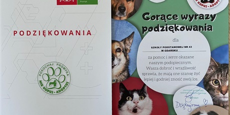 Powiększ grafikę: wolontariusze-w-akcji-388269.jpg