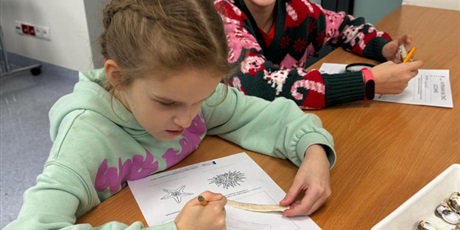 Powiększ grafikę: wyjscie-do-oceanarium-w-gdyni-665459.jpg