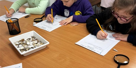 Powiększ grafikę: wyjscie-do-oceanarium-w-gdyni-665461.jpg