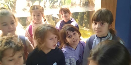 Powiększ grafikę: wyjscie-do-oceanarium-w-gdyni-665463.jpg