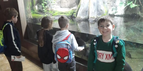 Powiększ grafikę: wyjscie-do-oceanarium-w-gdyni-665465.jpg