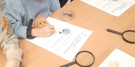 Powiększ grafikę: wyjscie-do-oceanarium-w-gdyni-665467.jpg