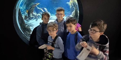 Powiększ grafikę: wyjscie-do-oceanarium-w-gdyni-665468.jpg