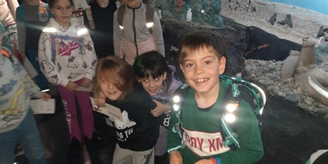 Powiększ grafikę: wyjscie-do-oceanarium-w-gdyni-665470.jpg