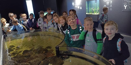 Powiększ grafikę: wyjscie-do-oceanarium-w-gdyni-665473.jpg