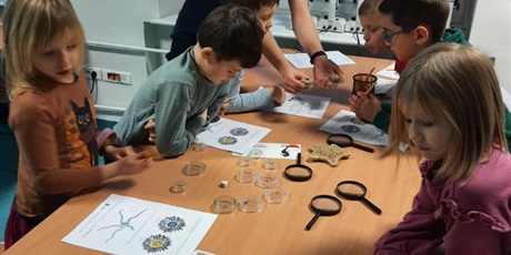 Powiększ grafikę: wyjscie-do-oceanarium-w-gdyni-665476.jpg