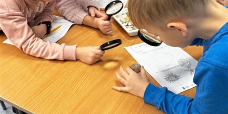 Powiększ grafikę: wyjscie-do-oceanarium-w-gdyni-665478.jpg