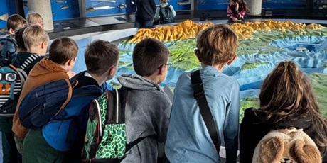 Powiększ grafikę: wyjscie-do-oceanarium-w-gdyni-665483.jpg