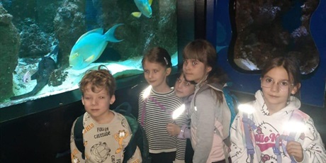 Powiększ grafikę: wyjscie-do-oceanarium-w-gdyni-665484.jpg