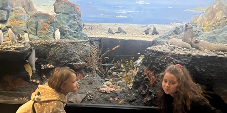 Powiększ grafikę: wyjscie-do-oceanarium-w-gdyni-665485.jpg