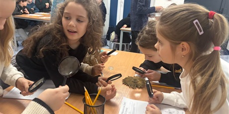 Powiększ grafikę: wyjscie-do-oceanarium-w-gdyni-665488.jpg