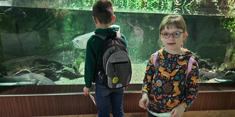 Powiększ grafikę: wyjscie-do-oceanarium-w-gdyni-665493.jpg