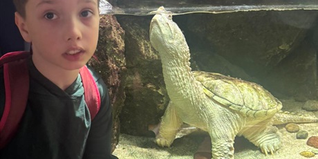 Powiększ grafikę: wyjscie-do-oceanarium-w-gdyni-665494.jpg