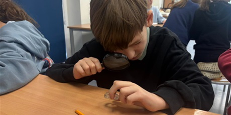 Powiększ grafikę: wyjscie-do-oceanarium-w-gdyni-665495.jpg