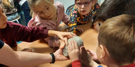 Powiększ grafikę: wyjscie-do-oceanarium-w-gdyni-665499.jpg