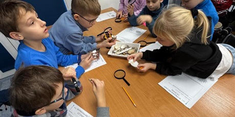 Powiększ grafikę: wyjscie-do-oceanarium-w-gdyni-665503.jpg