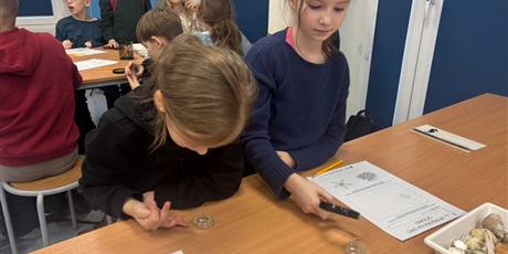 Powiększ grafikę: wyjscie-do-oceanarium-w-gdyni-665504.jpg