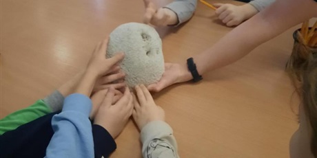 Powiększ grafikę: wyjscie-do-oceanarium-w-gdyni-665506.jpg