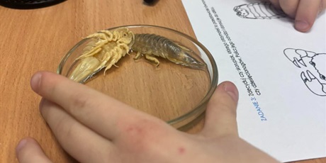 Powiększ grafikę: wyjscie-do-oceanarium-w-gdyni-665507.jpg