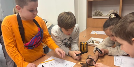 Powiększ grafikę: wyjscie-do-oceanarium-w-gdyni-665509.jpg