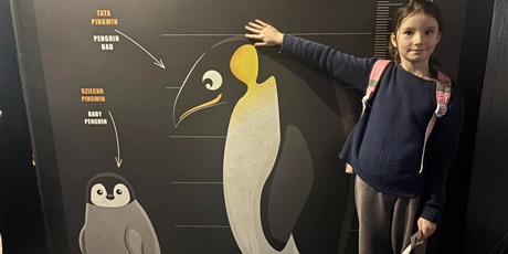 Powiększ grafikę: wyjscie-do-oceanarium-w-gdyni-665514.jpg