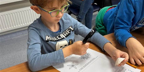 Powiększ grafikę: wyjscie-do-oceanarium-w-gdyni-665515.jpg