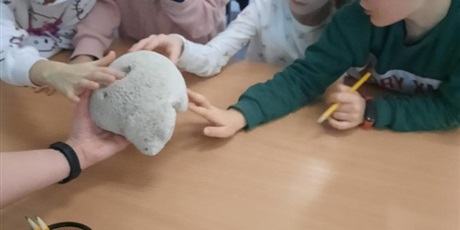 Powiększ grafikę: wyjscie-do-oceanarium-w-gdyni-665518.jpg