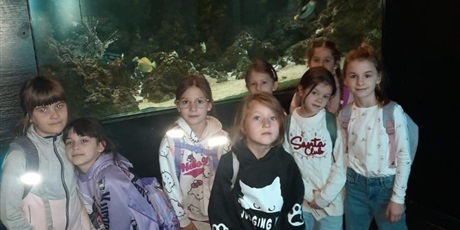 Powiększ grafikę: wyjscie-do-oceanarium-w-gdyni-665520.jpg