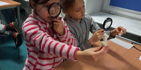 Powiększ grafikę: wyjscie-do-oceanarium-w-gdyni-665521.jpg