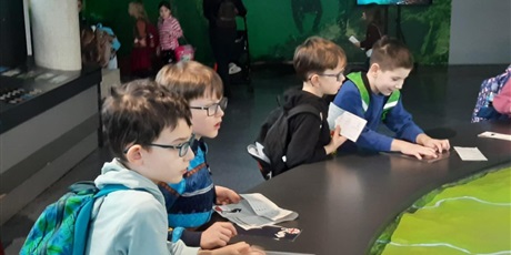 Powiększ grafikę: wyjscie-do-oceanarium-w-gdyni-665522.jpg