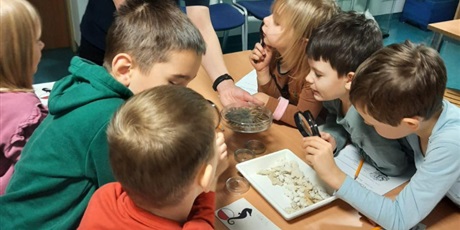 Powiększ grafikę: wyjscie-do-oceanarium-w-gdyni-665525.jpg